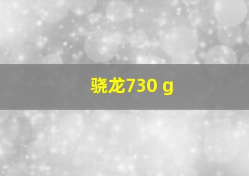 骁龙730 g